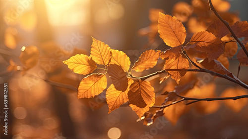 Autumn leaves on the sun and blurred trees for fall background. Generative Ai
