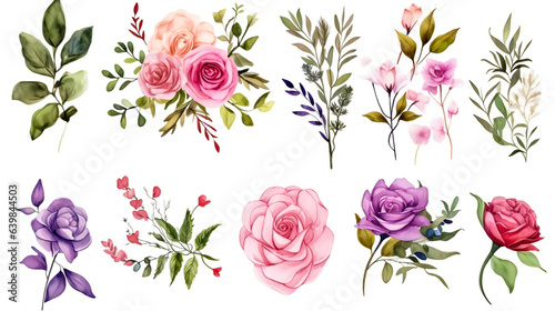 Colorful rose flower pattern on white background