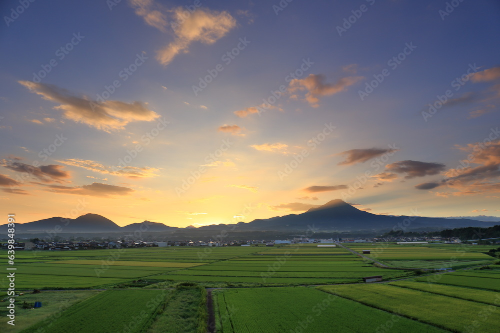 青空の下の鳥取県の伯耆大山と稲の緑が美しい夏の田園風景