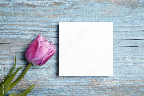 Blank invitation card mockup, white square greeting card with purple flower on blue wooden background, flat lay. Spring-inspired blank postcard on blue wood