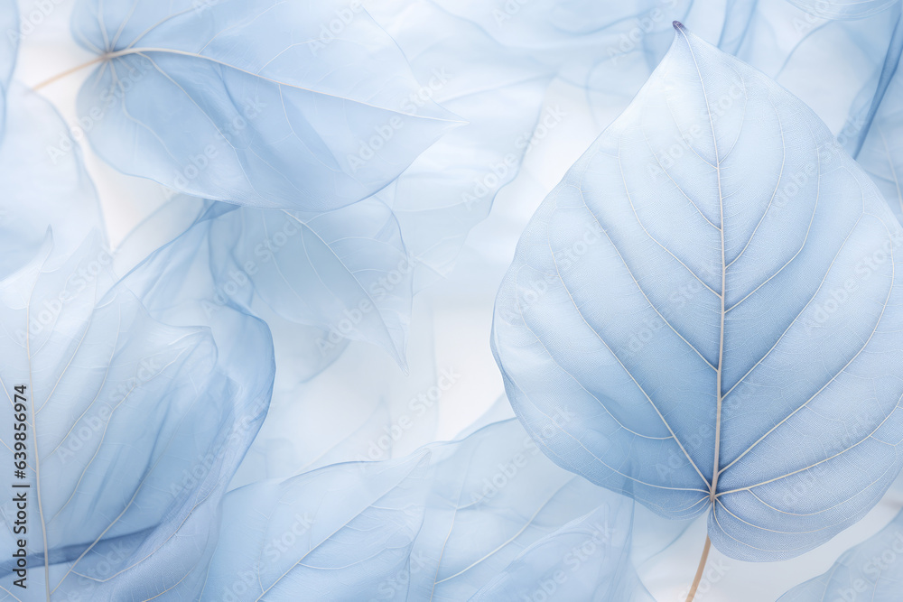 Blue pale leaf wallpaper in soft light, background, wallpaper