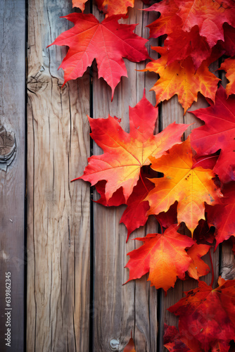 Autumn concept: Fall background with maple leaves on wood, with space for text