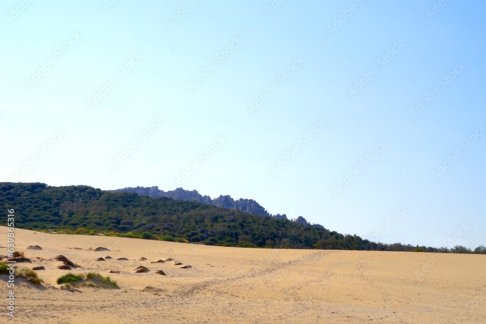 Obraz premium Dunes of Valdevaqueros, sand dunes on the beach at the Atlantic Ocean with the mountains of Andalusia behind, Costa de la Luz, province of Cádiz, Spain, Travel, Tourism