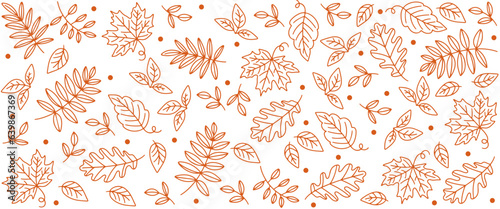 seamless pattern with autumn leaf vector background