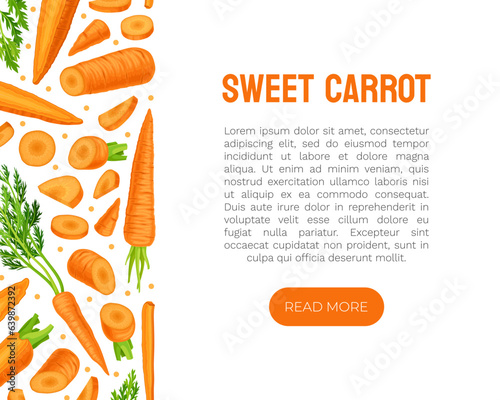 Bright Carrot Vegetable and Crop Banner Design Vector Template