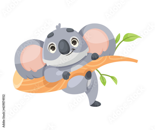 Cheerful Koala Animal with Large Ears and Pretty Snout Climb Tree Branch Vector Illustration