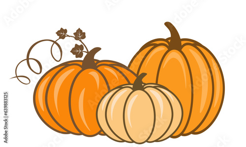 Ripe pumpkins, isolated on white background, vector illustration, garden harvest or autumn market concept.