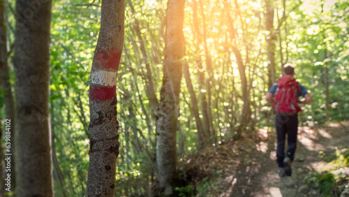 Red and white trail marker on tree indicating hiking path, hiker following trail in the background, outdoor adventure concept