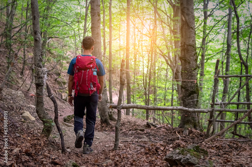 Hiker trekking through the forest, person walking amidst trees and nature, outdoor adventure concept