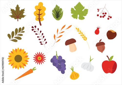 Large vector autumn set. Autumn season. Leaves, acorn, hazelnut, onion, garlic, grape, apple, carrot, sunflower, aster, mushroom, rose hip, spikelet Collection of fall elements for scrapbooking.