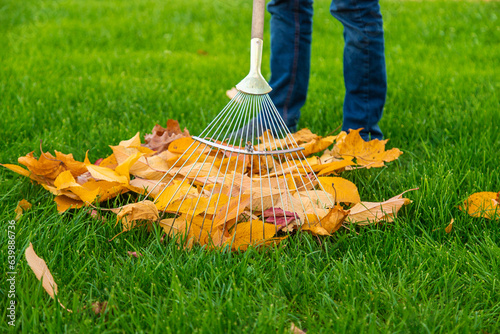 Cleaning the leaves in the autumn park. Selective focus.