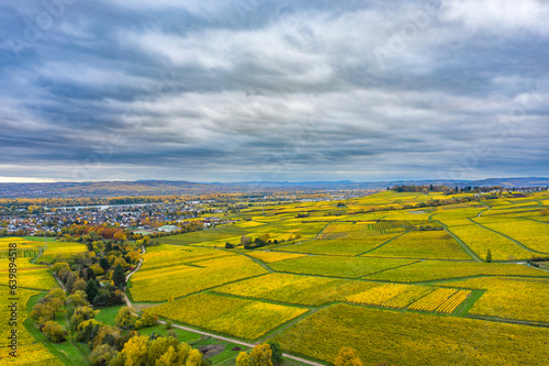 View from above of autumnal yellow colored vineyards in the Rheingau near Oestrich-Winkel/Germany