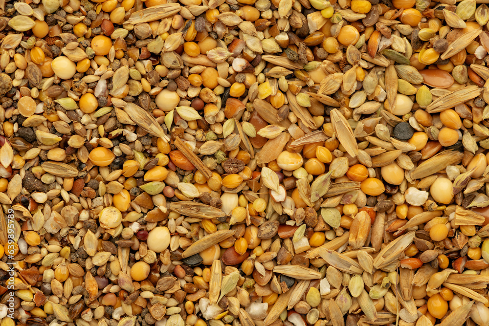 Seed mix texture, flat lay. Complementary feed for bird or rodent Seed mix texture, flat lay. Complementary feed for bird or rodent