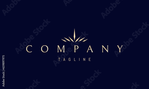 Vector golden logo on which an abstract image of a crown made of crystals.