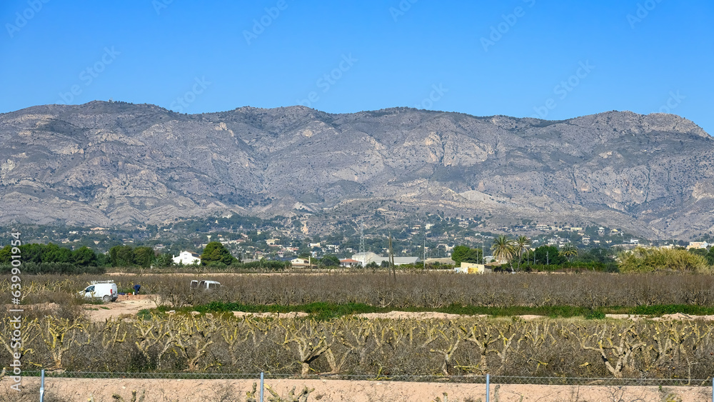 Semi-arid landscape in Alicante province, Spain