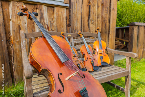 A photography of old string musical instruments placed on an old bench in the front of a wooden wall in the garden covered by green grass.