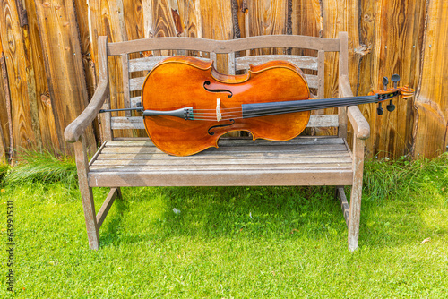 A photography of an old cello in the garden covered with green grass.