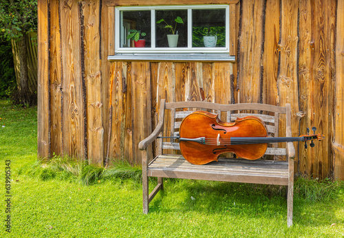 A photography of an old cello in the garden covered with green grass.
