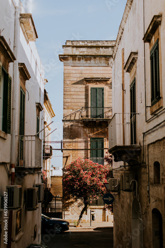 Narrow streets of Ostuni, Italy