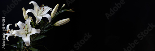 Funeral lily on dark vackground with copy  photo