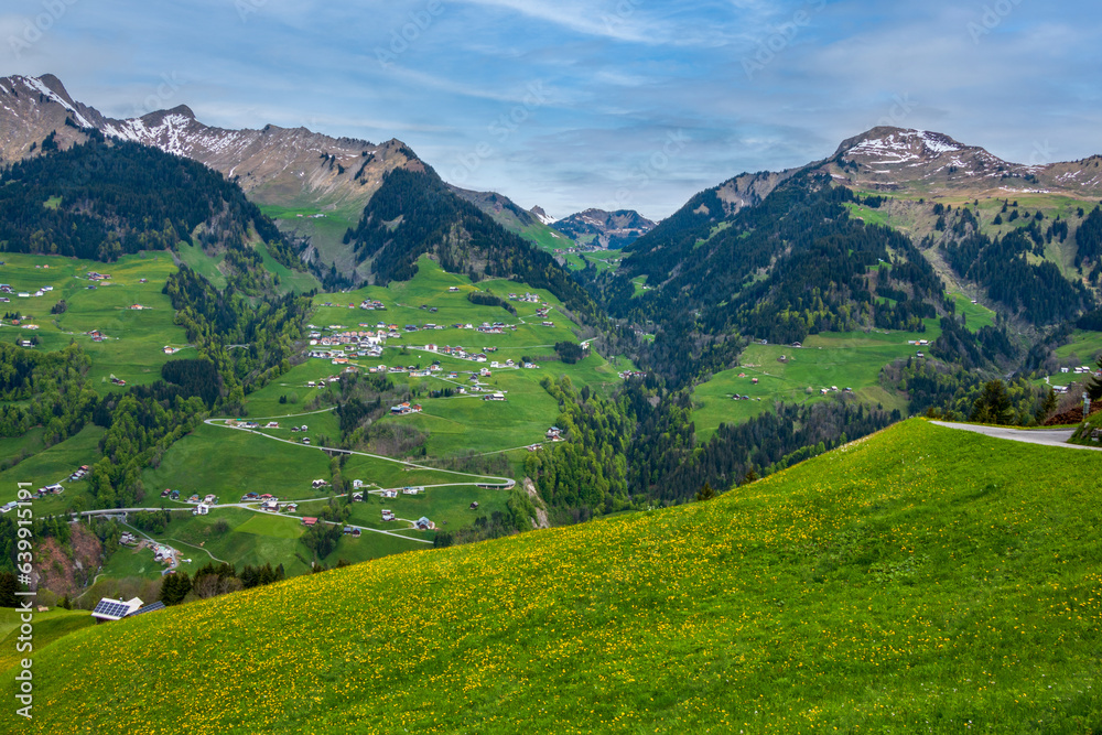Spring view from a meadow full of beautifully blooming yellow dandelions across the forests, farms, villages and the partially snow-covered mountains of the Großes Walsertal in the Austrian Alps