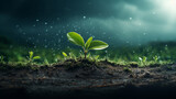 green_plants_growing sdgs 環境 水 緑