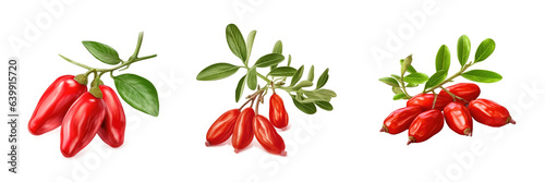 Goji Berry , Illustration, HD, PNG photo