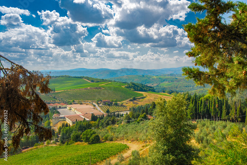 Castello di Brolio. View from the castle over the Vineyards  in Gaiole in Chianti. Chianti Valley, Siena, Tuscany, Italy photo