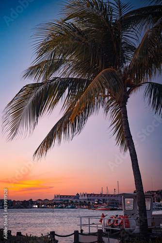 Oranjestad Aruba seen at sunset with boats, ocean and palm trees © littleny