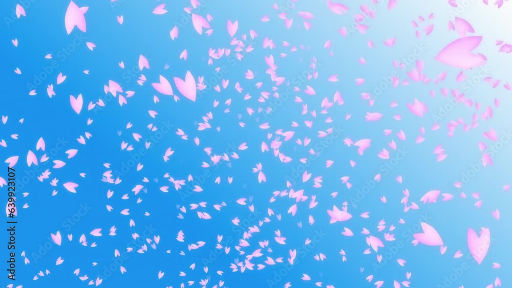 Pink cherry petals flowing and falling from blue sky. Pink cherry petals flowing and falling from blue sky.