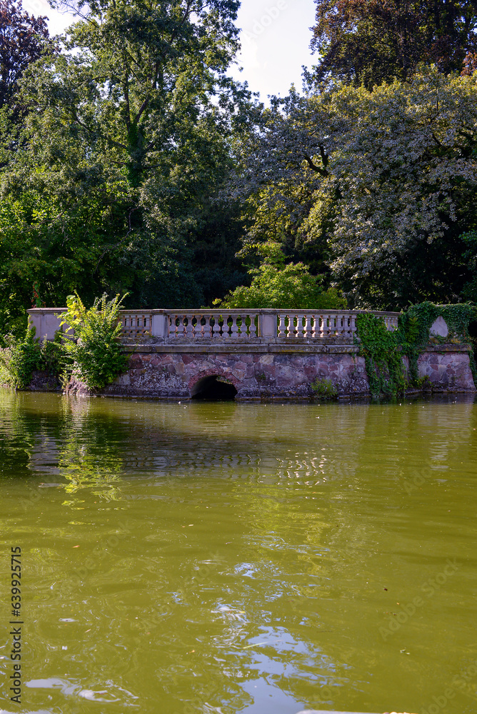 beautiful summer landscape near the water beautiful summer landscape near the water