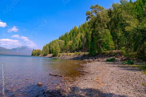 river and forest