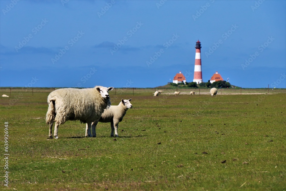 Fototapeta premium Nordsee