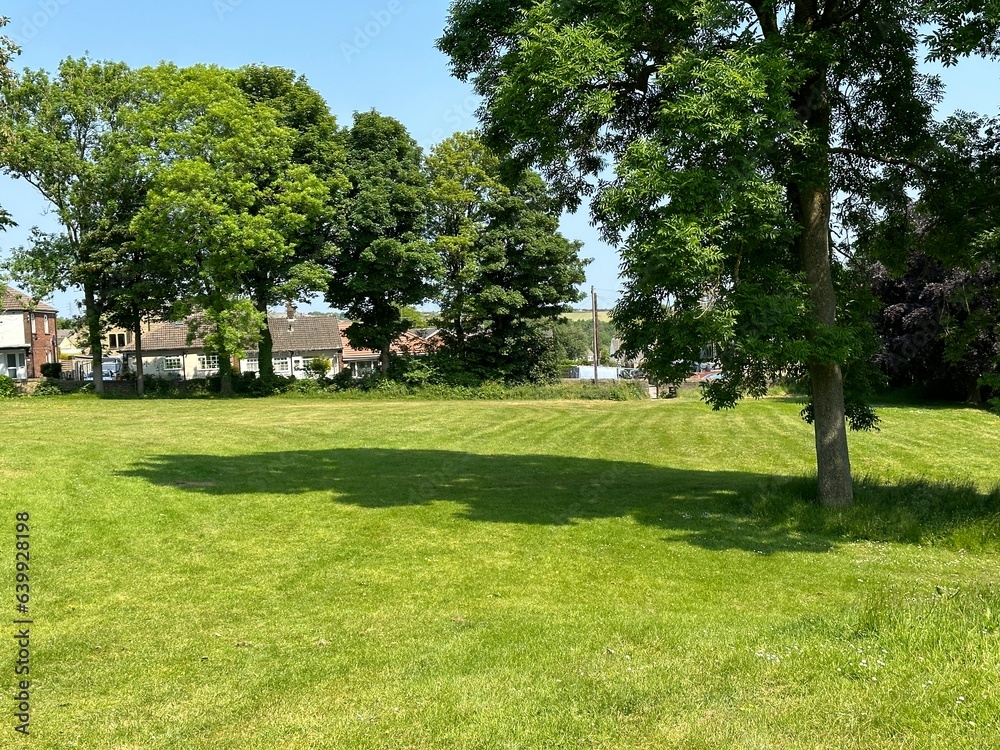 Obraz premium Green space, with wild plants, old trees, houses, and a blue sky near, Cross Road, Oakenshaw, Bradford, UK