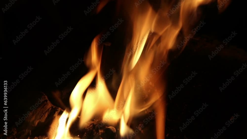 Camp fire at night, close up, nature background
Camp fire at night, close up, nature background