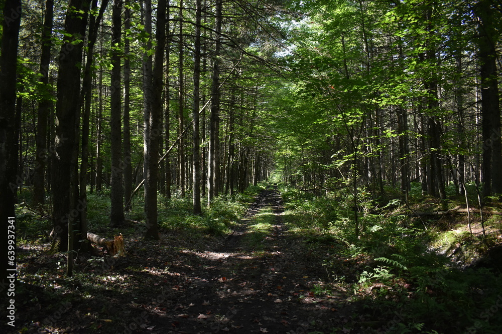 La Plaine 27 Août 2023