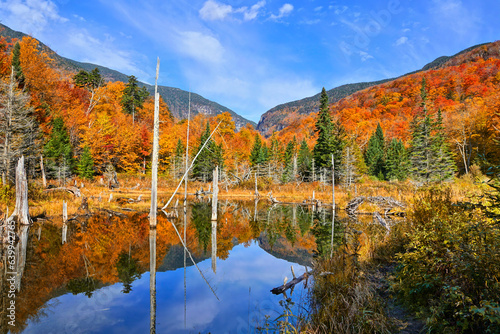 Beautiful autumn colors along a lake with reflections in the Green Mountains countryside of Vermont, USA © Jenifoto