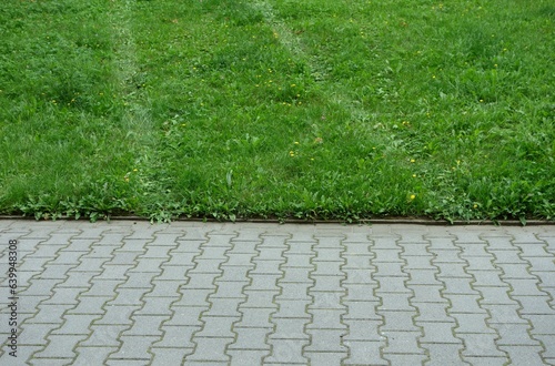 Lawn with traces of car tires next to pavement paving