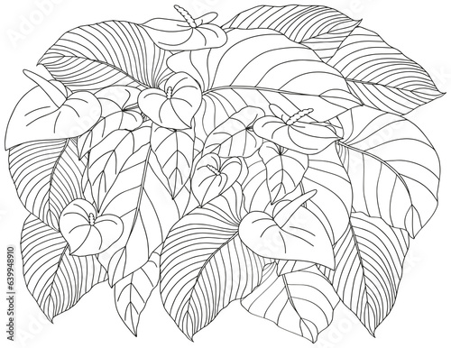 Coloring page of tropical flowers and leaves. Antistress for adults and children.