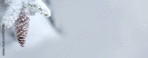 Fir branches in hoarfrost and snow with cones . winter background .Banner. Free space for your lettering ideas and product presentations