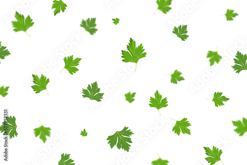 Background with flying parsley. Blurred Concept of healthy eating, vegetarian food. Vector
