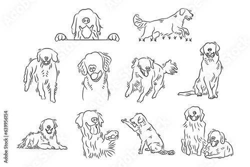 Set of golden retriever dogs hand drawn line art. Outline sketch doodle cartoon of dog labrador vector illustration