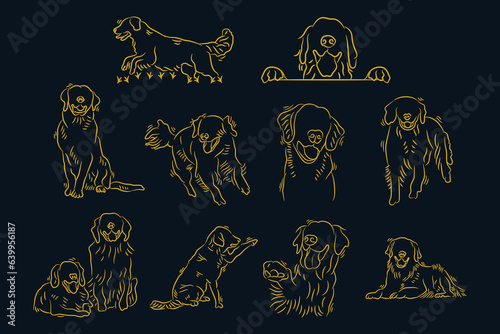 Set of golden retriever dogs hand drawn line art. Outline sketch doodle cartoon of dog labrador vector illustration