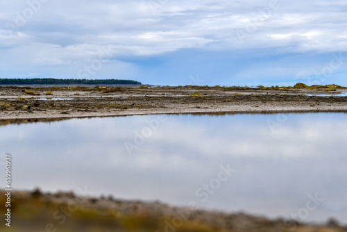 Shoreline of the St. Lawrence River at low tide in Rimouski  Quebec  Canada