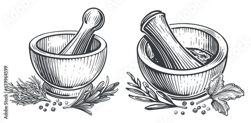 Mortar and pestle engraving style sketch. Herbs and spices vector illustration photo