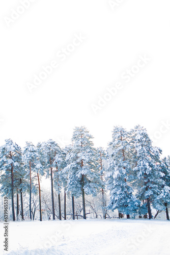 Landscapes. Frozen winter forest with snow covered trees. © alenalihacheva