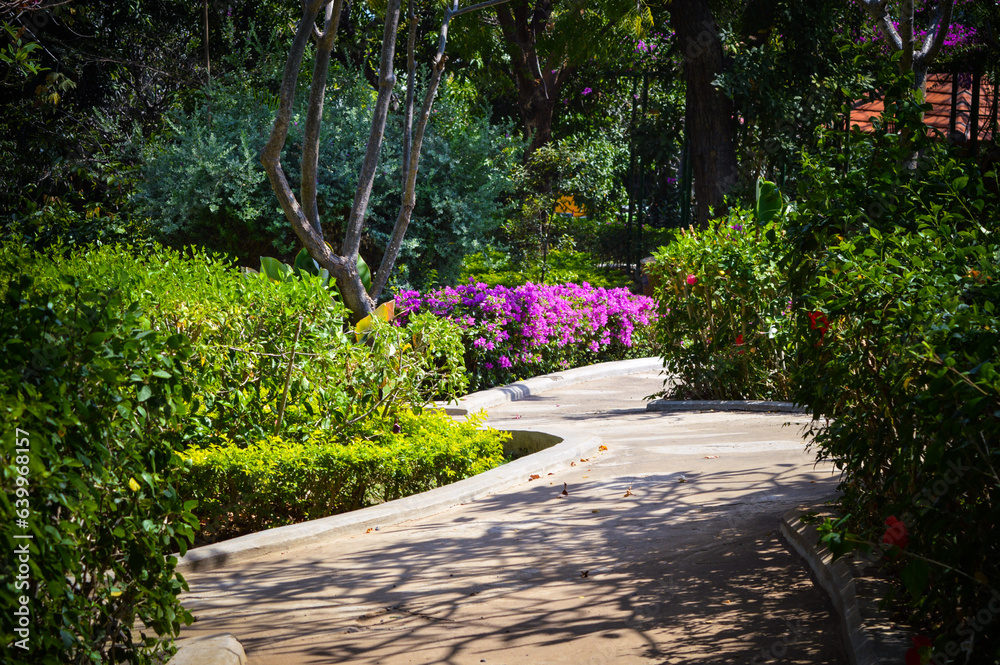 Natural Beauty Tropical Garden Landscape Adorned With Various Types Of Plants And Trees On A Sunny Day