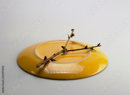 shallow dessert plates of various colors on a white milky background and a tree branch.