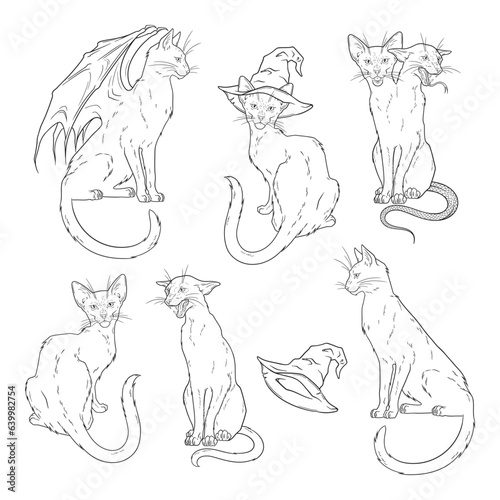 Black cats witch familiar spirit set halloween or pagan witchcraft theme print design vector illustration