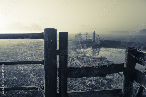 Spider net with morning dew on a fence